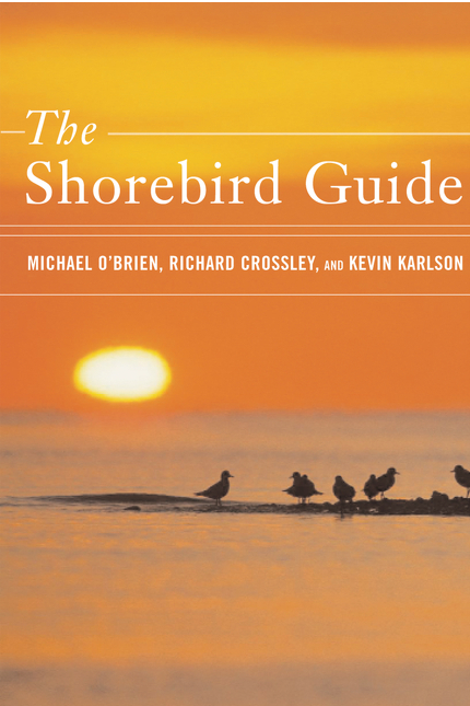 book cover showing shorebirds in warm orange light