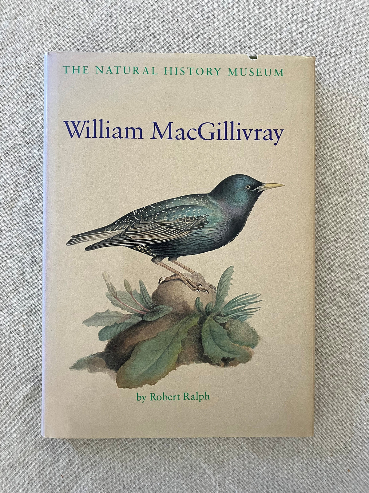 William MacGillivray
