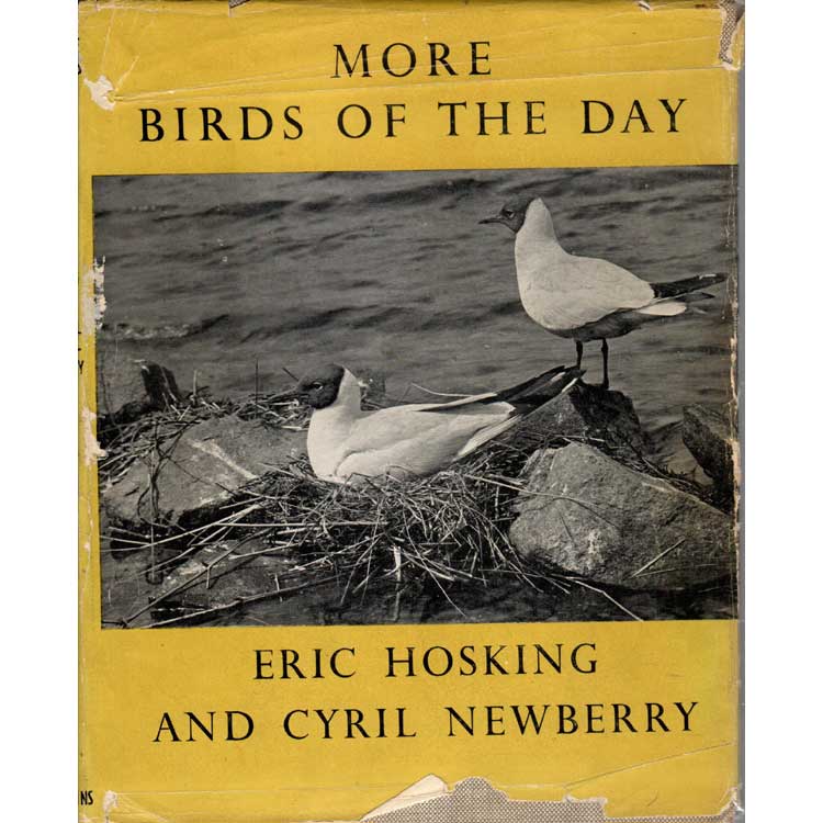 Book cover and/or sample page of More Birds of the Day