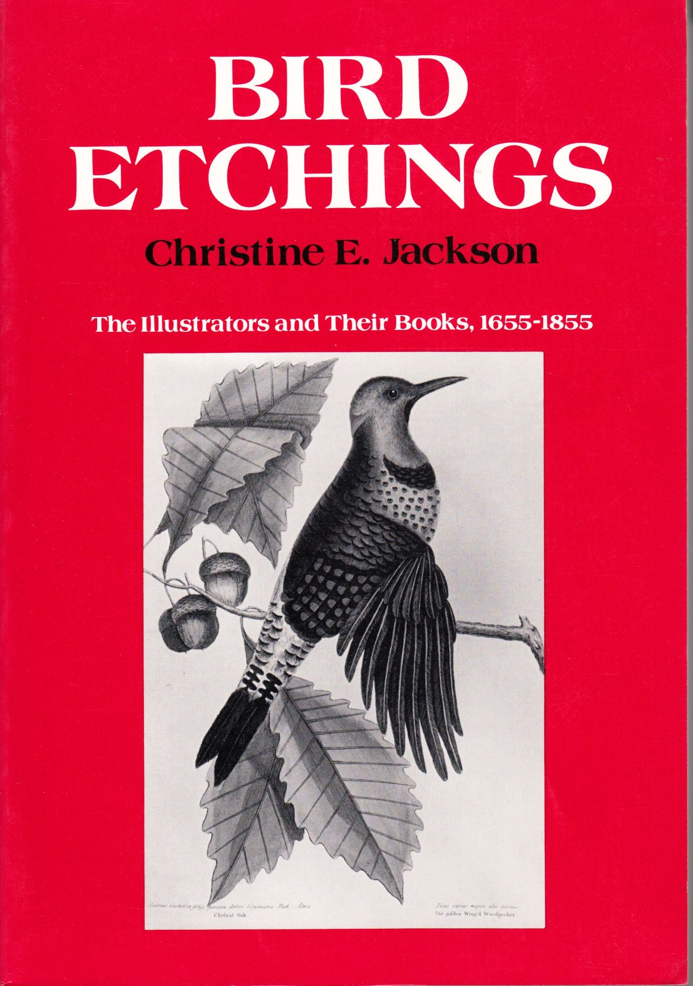 Bird Etchings: The Illustrators and Their Books, 1655-1855