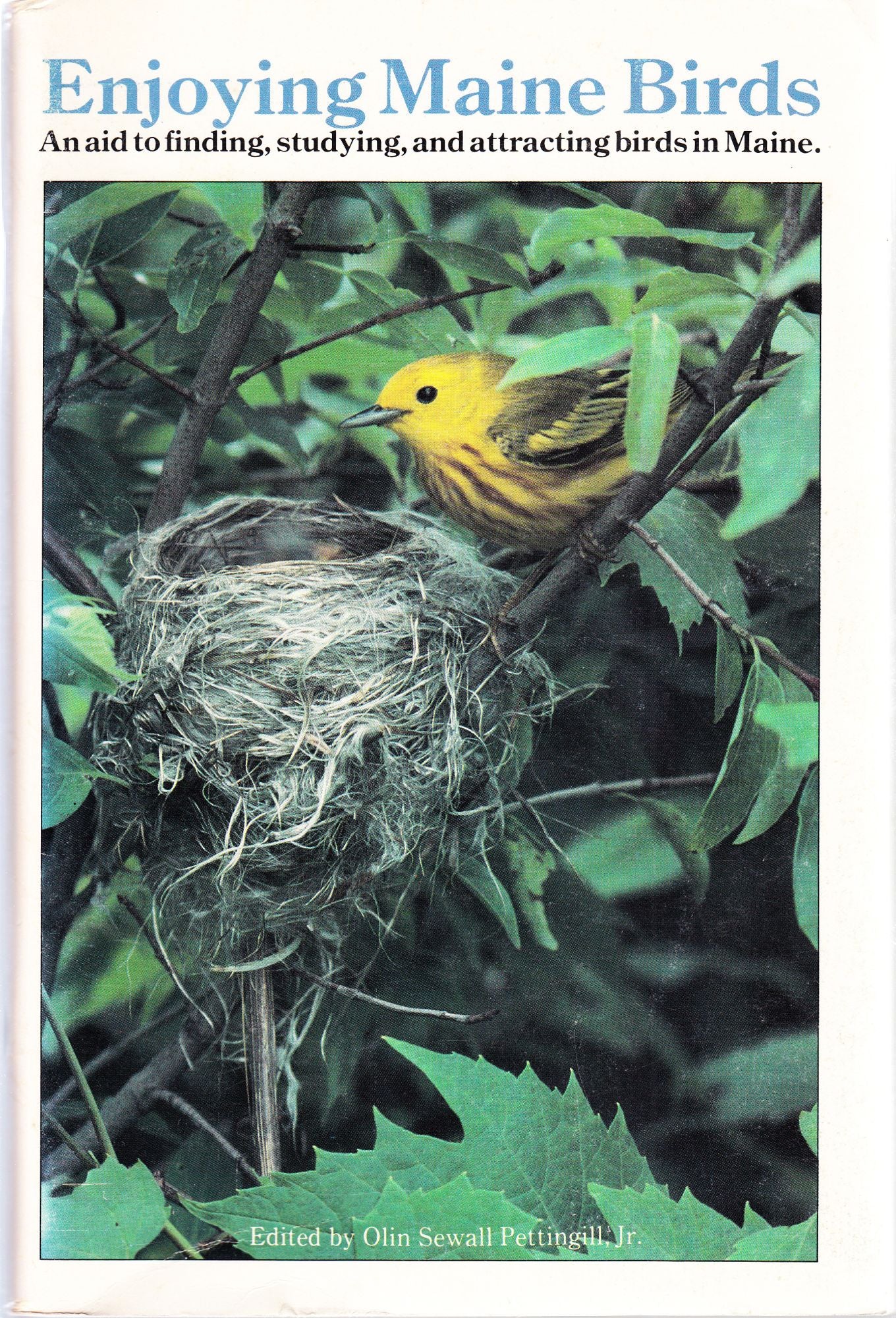 Enjoying Maine Birds cover