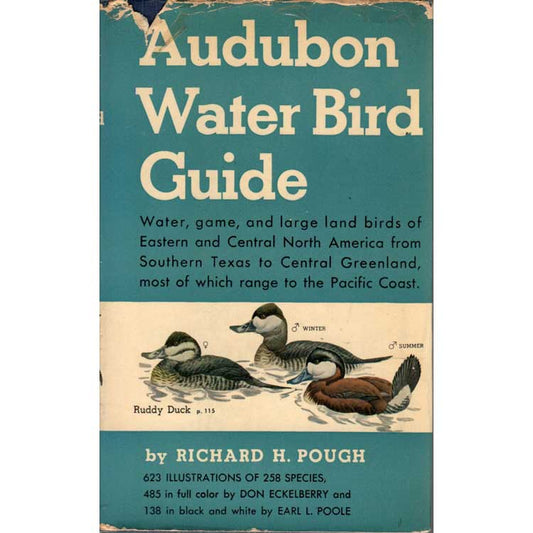 Book cover and/or sample page of Audubon Water Bird Guide: Water, Game and Large Land Birds