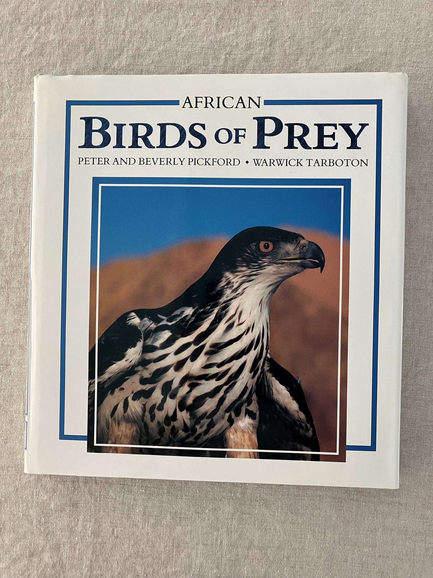 African Birds of Prey