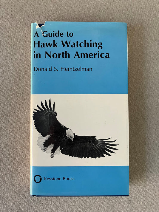 A Guide to Hawk Watching in North America