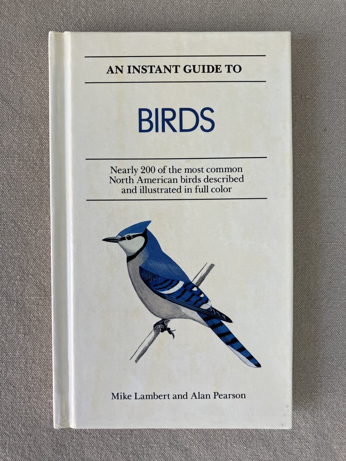 An Instant Guide to Birds