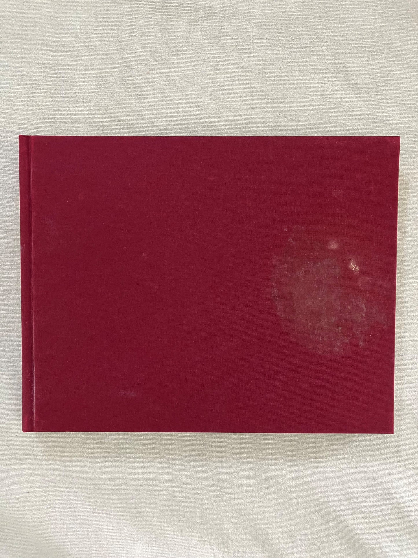 Audubon: Early Drawings