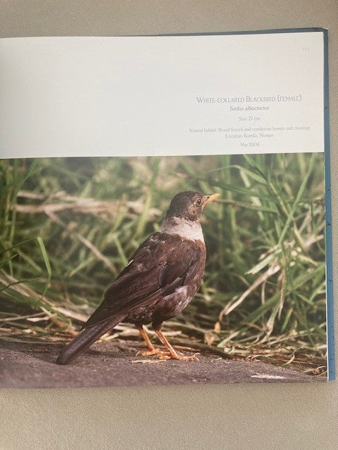 Bhutan Birds