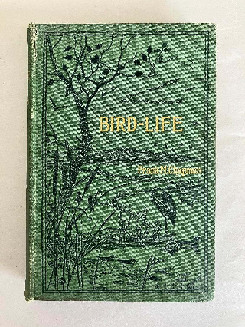 Bird-Life