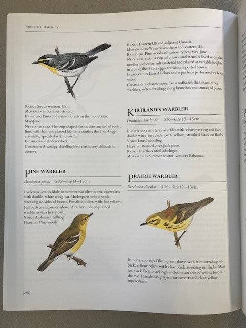 Birds of America