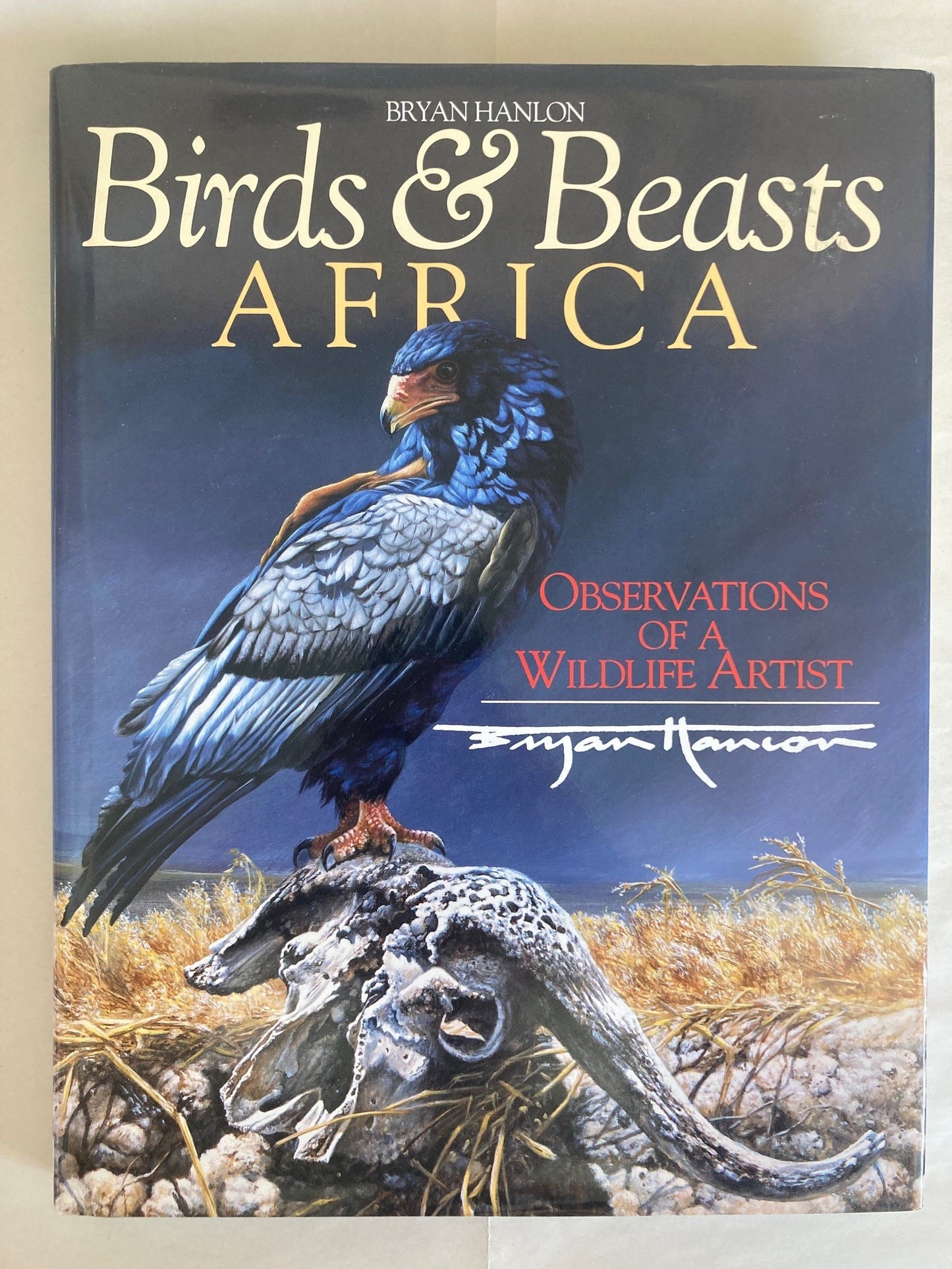 Birds & Beasts Africa: Observations of a Wildlife Artist