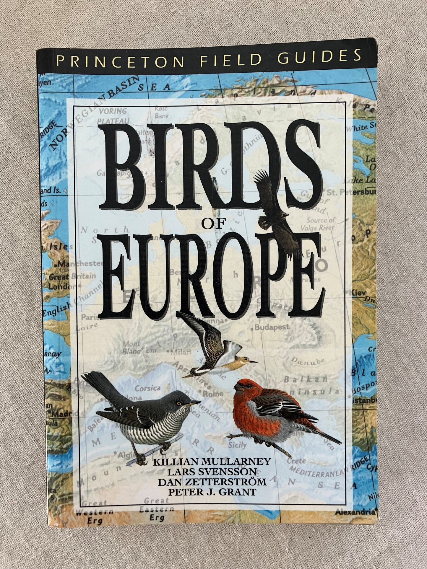 Birds of Europe