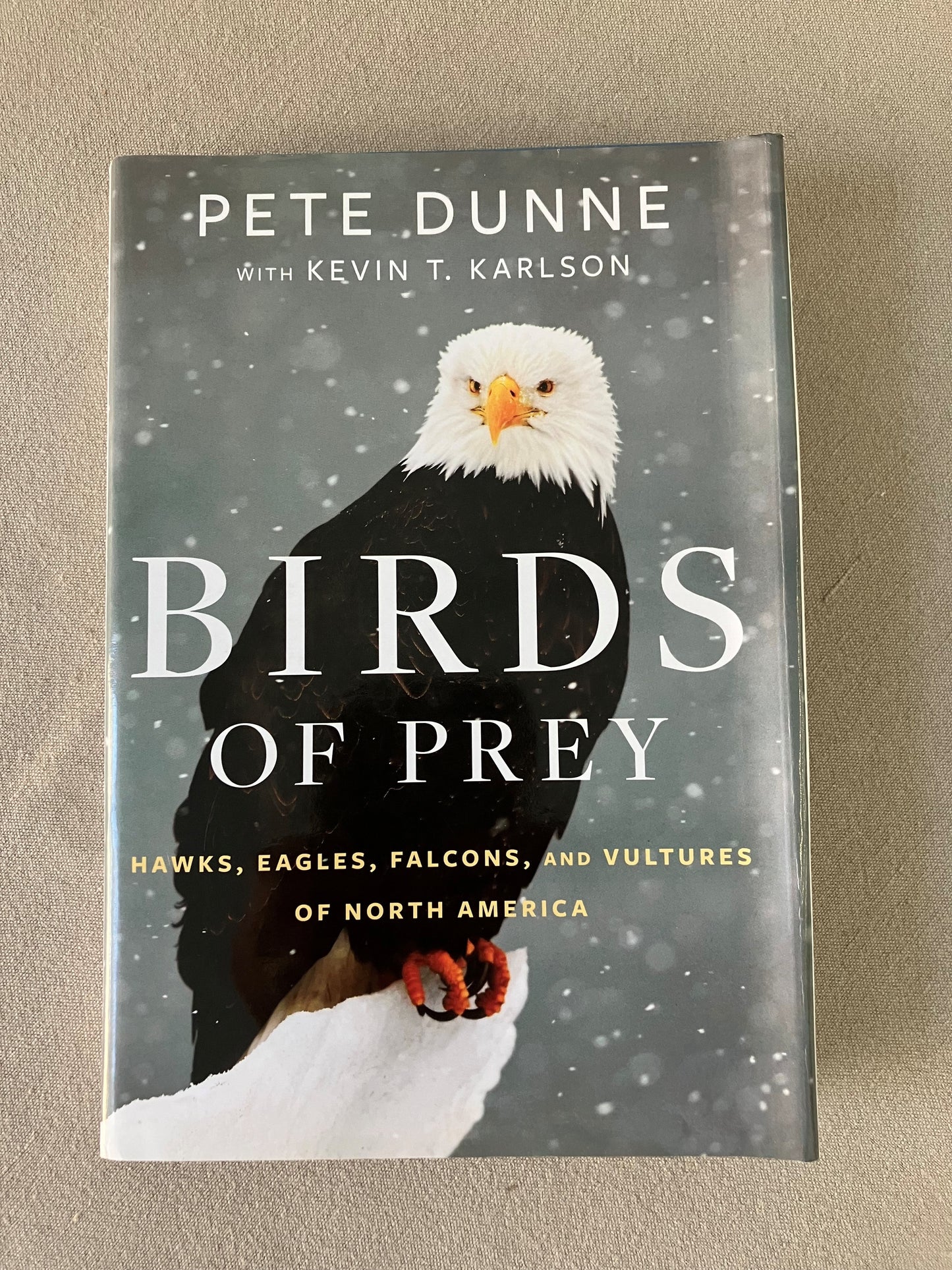 Birds Of Prey: Hawks, Eagles, Falcons, and Vultures of North America