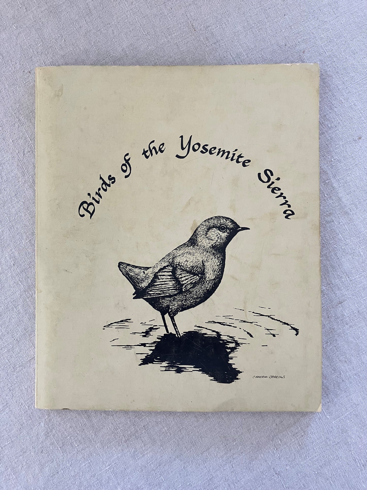 Birds of the Yosemite Sierra