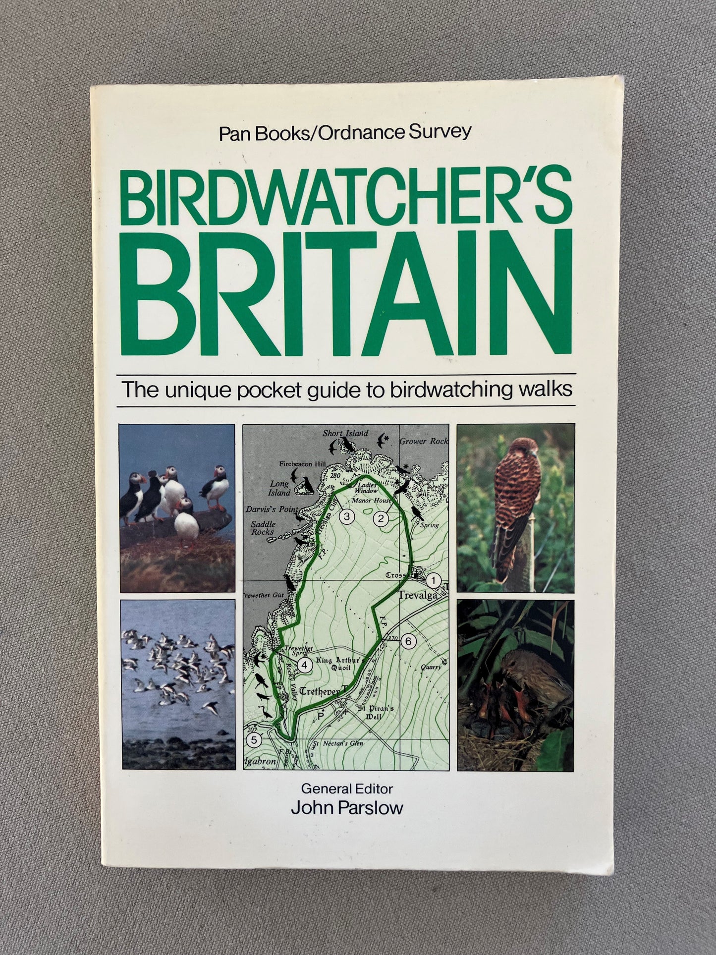 Birdwatcher's Britain: The Unique Pocket Guide to Birdwatching Walks