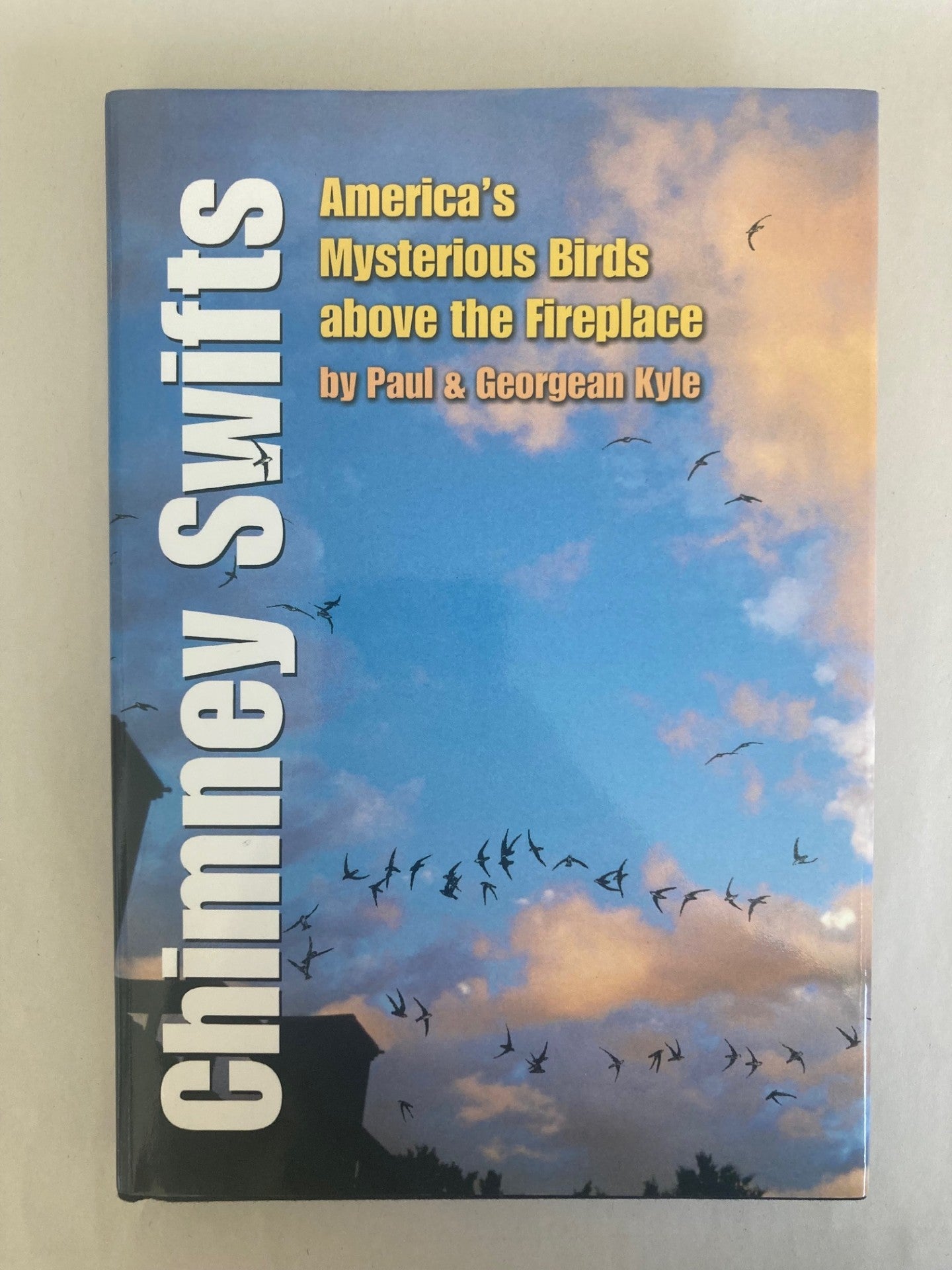 Chimney Swifts: America's Mysterious Birds above the Fireplace