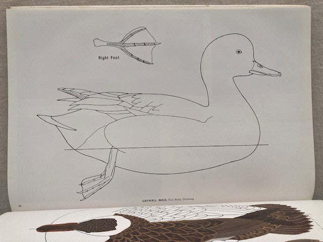 Decorative Decoy Designs: Dabbling and Whistling Ducks (Volume I)