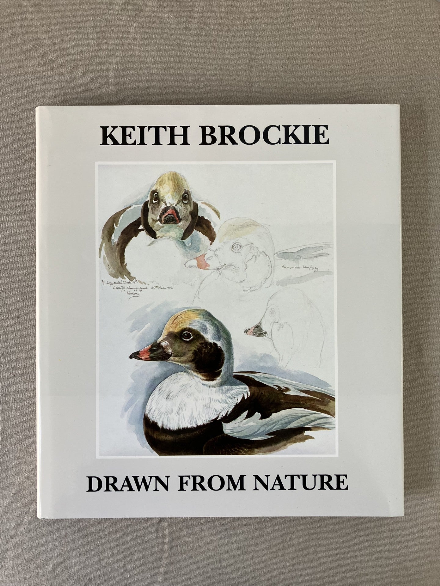 Drawn from Nature