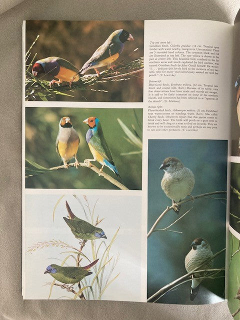 Every Australian Bird Illustrated