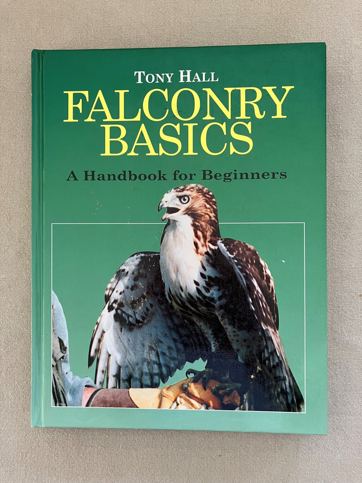Falconry Basics: A Handbook for Beginners