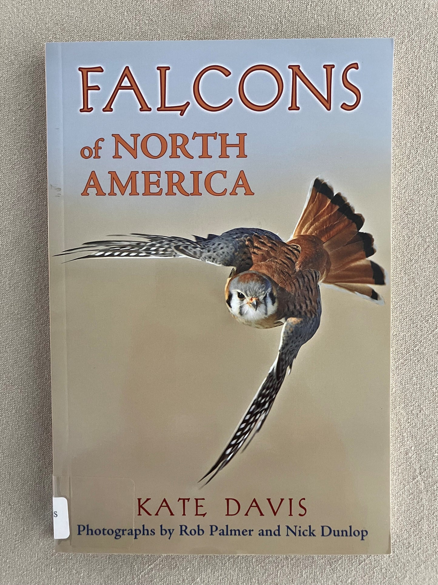 Falcons of North America