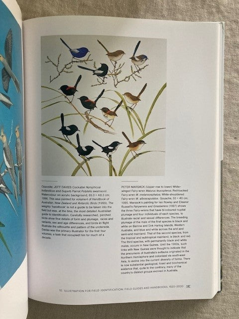 Feather and Brush: A History of Australian Bird Art (Second Edition)
