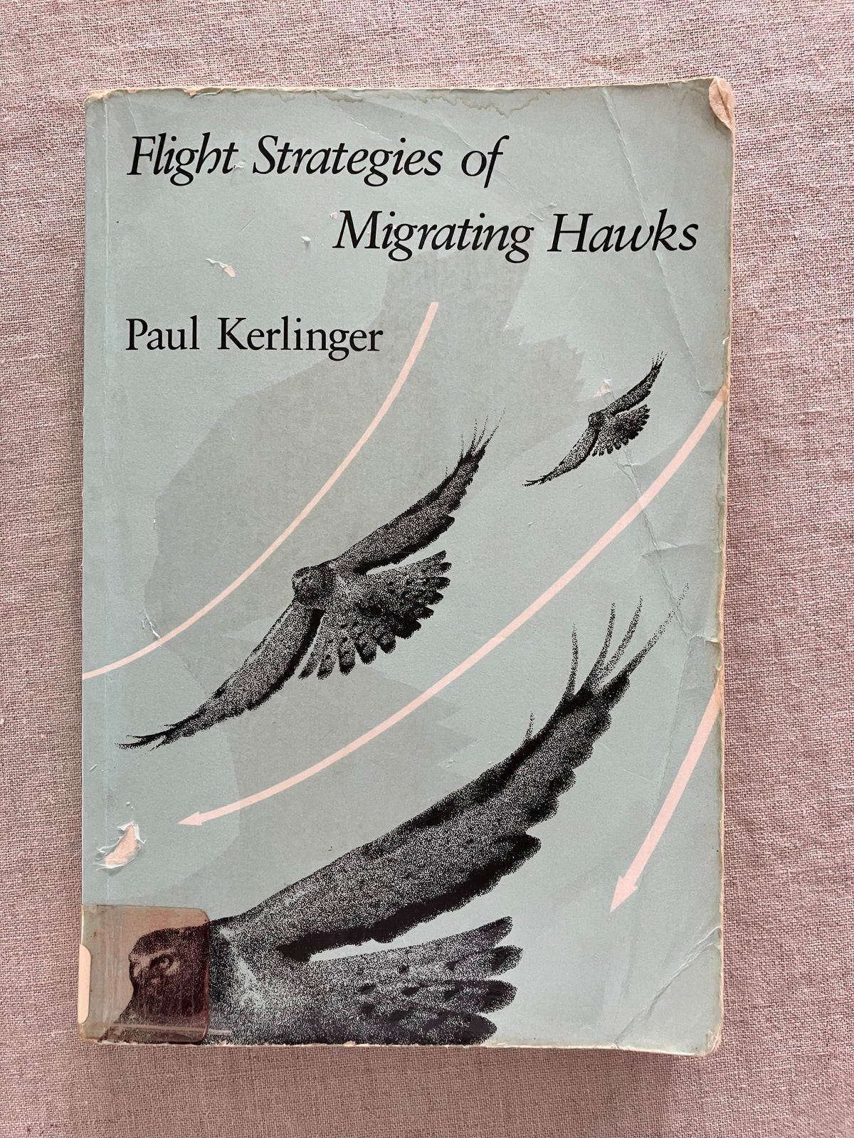 Flight Strategies of Migrating Hawks