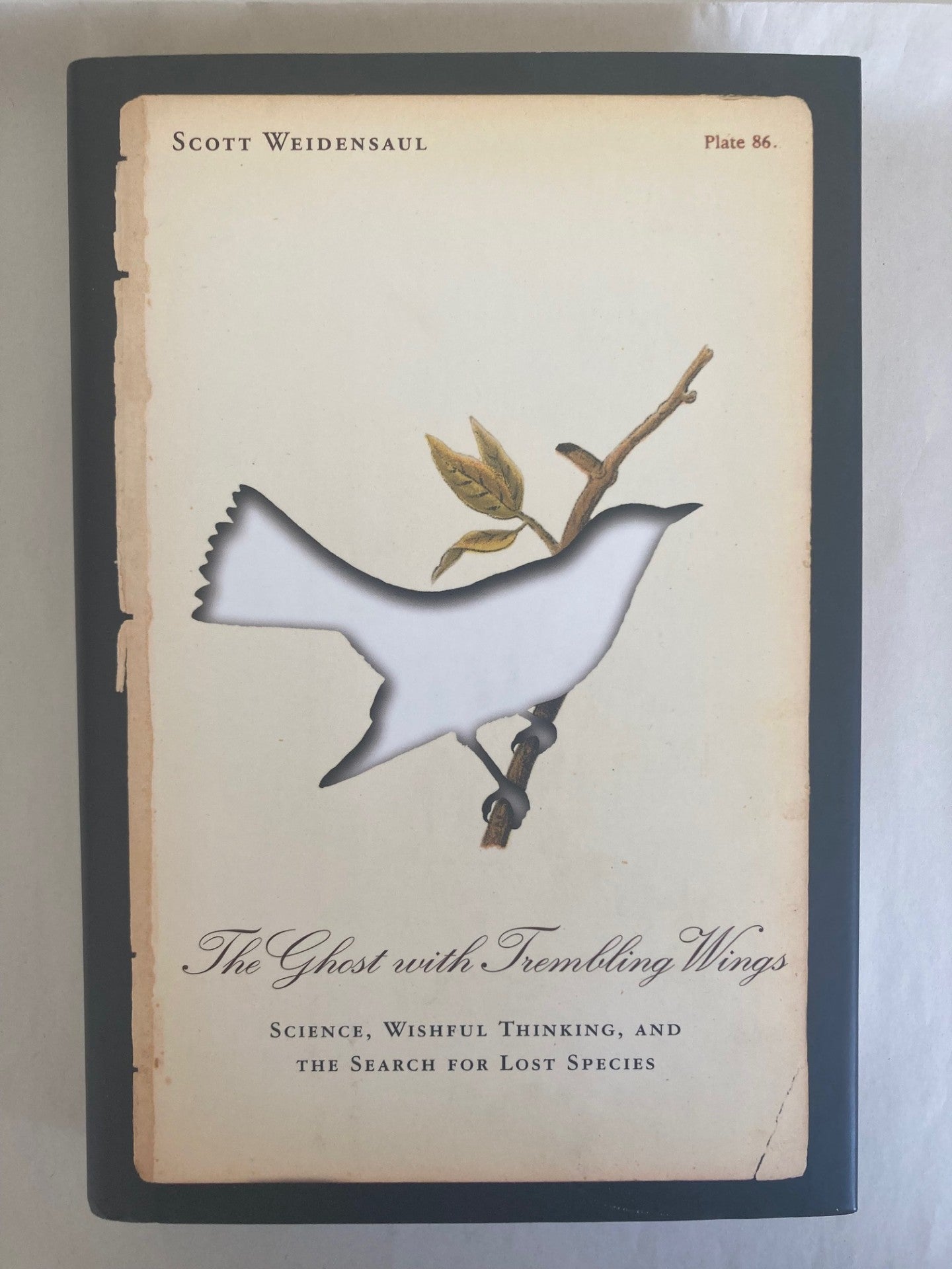 The Ghost With Trembling Wings: Science, Wishful Thinking, and the Search for Lost Species (Used)