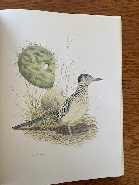Great Texas Birds