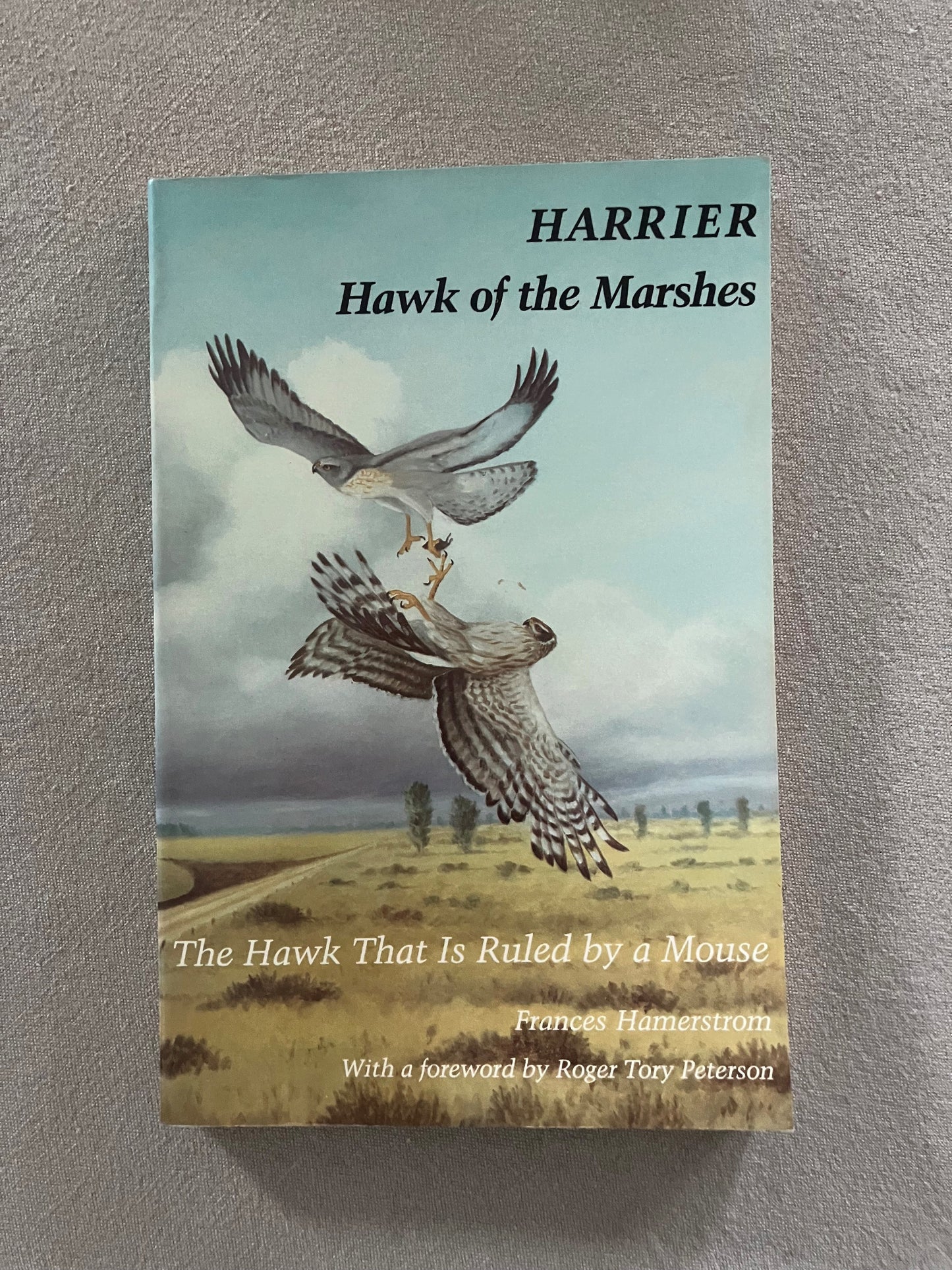 Harrier, Hawk of the Marshes: The Hawk That Is Ruled by a Mouse