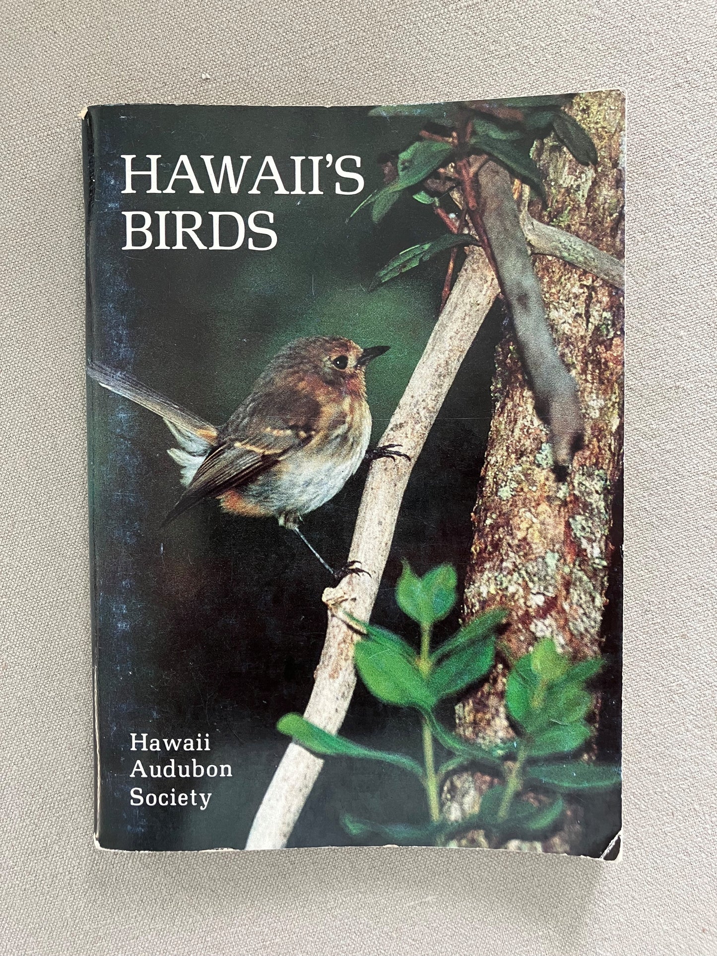 Hawaii's Birds