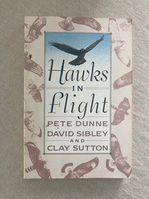 Hawks in Flight