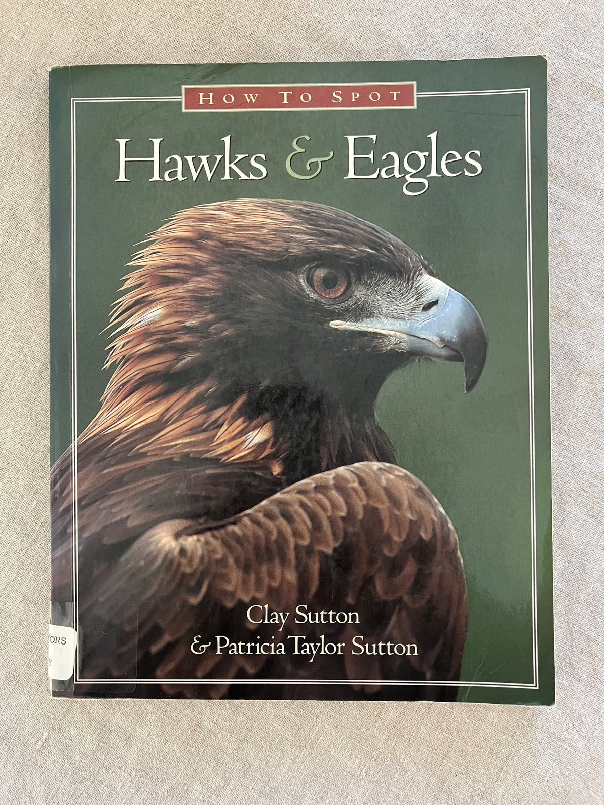 How to Spot Hawks & Eagles