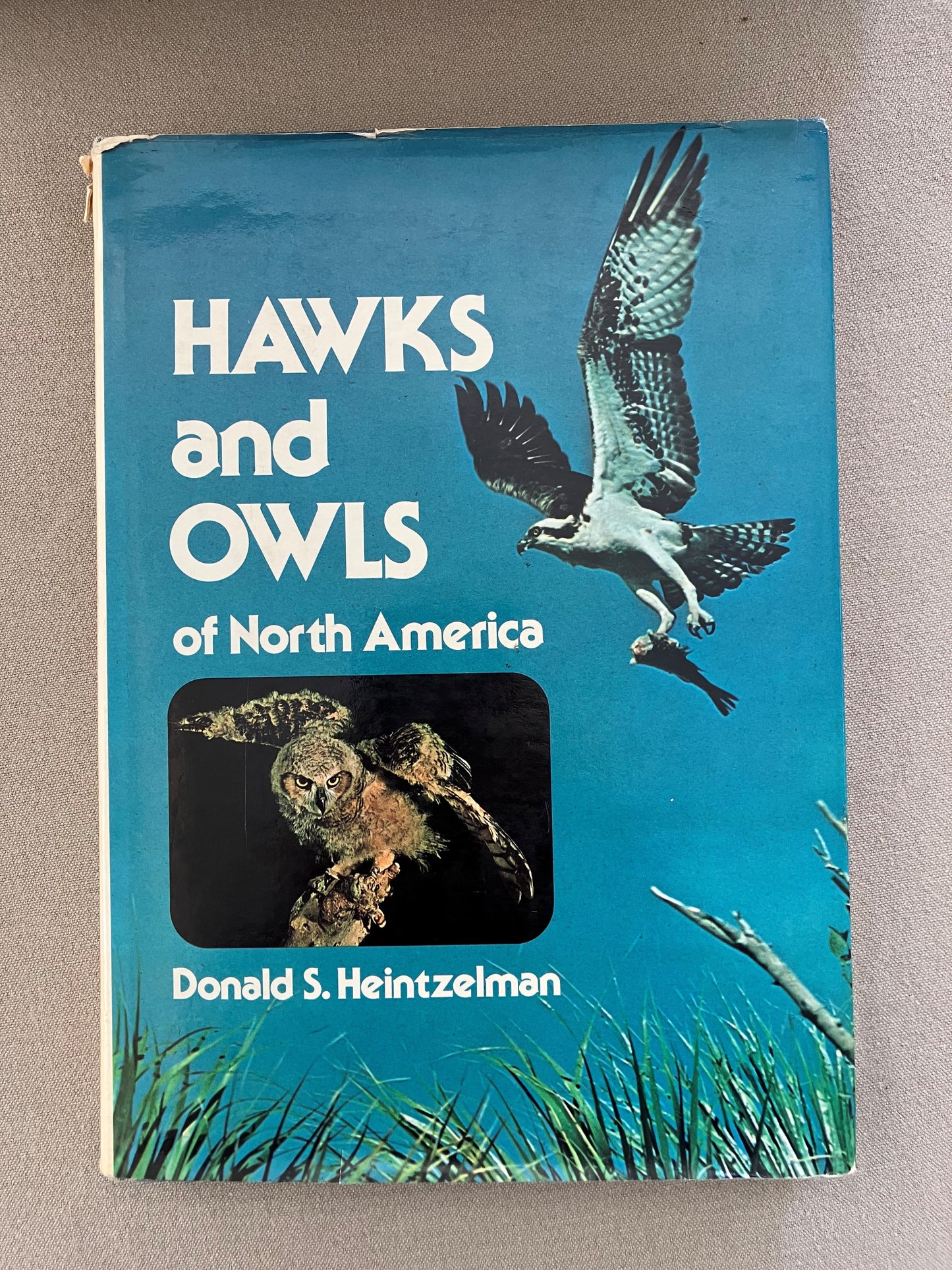 Hawks and Owls of North America: A Complete Guide to North American Birds of Prey