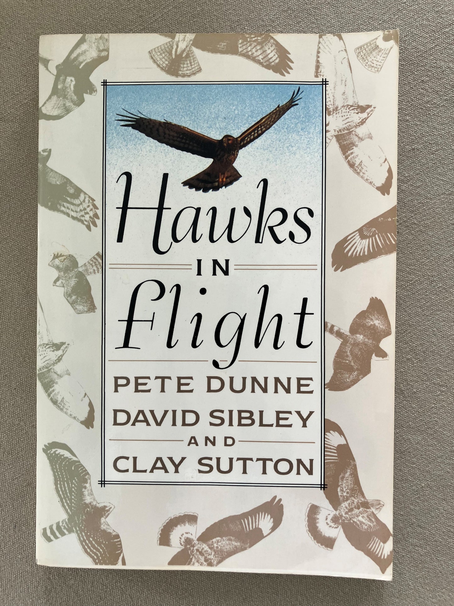 Hawks in Flight