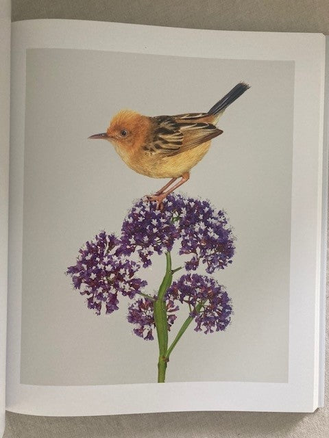 Homage to the Bird