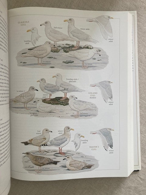 National Geographic Illustrated Birds of North America, Folio Edition