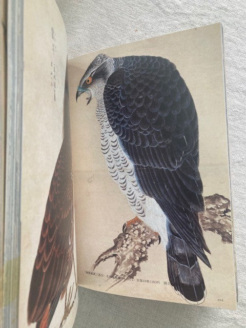 Animal, Bird, Insect, Fish: Traditional Patterns in Japanese Design