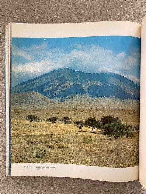 The Tree Where Man Was Born & The African Experience