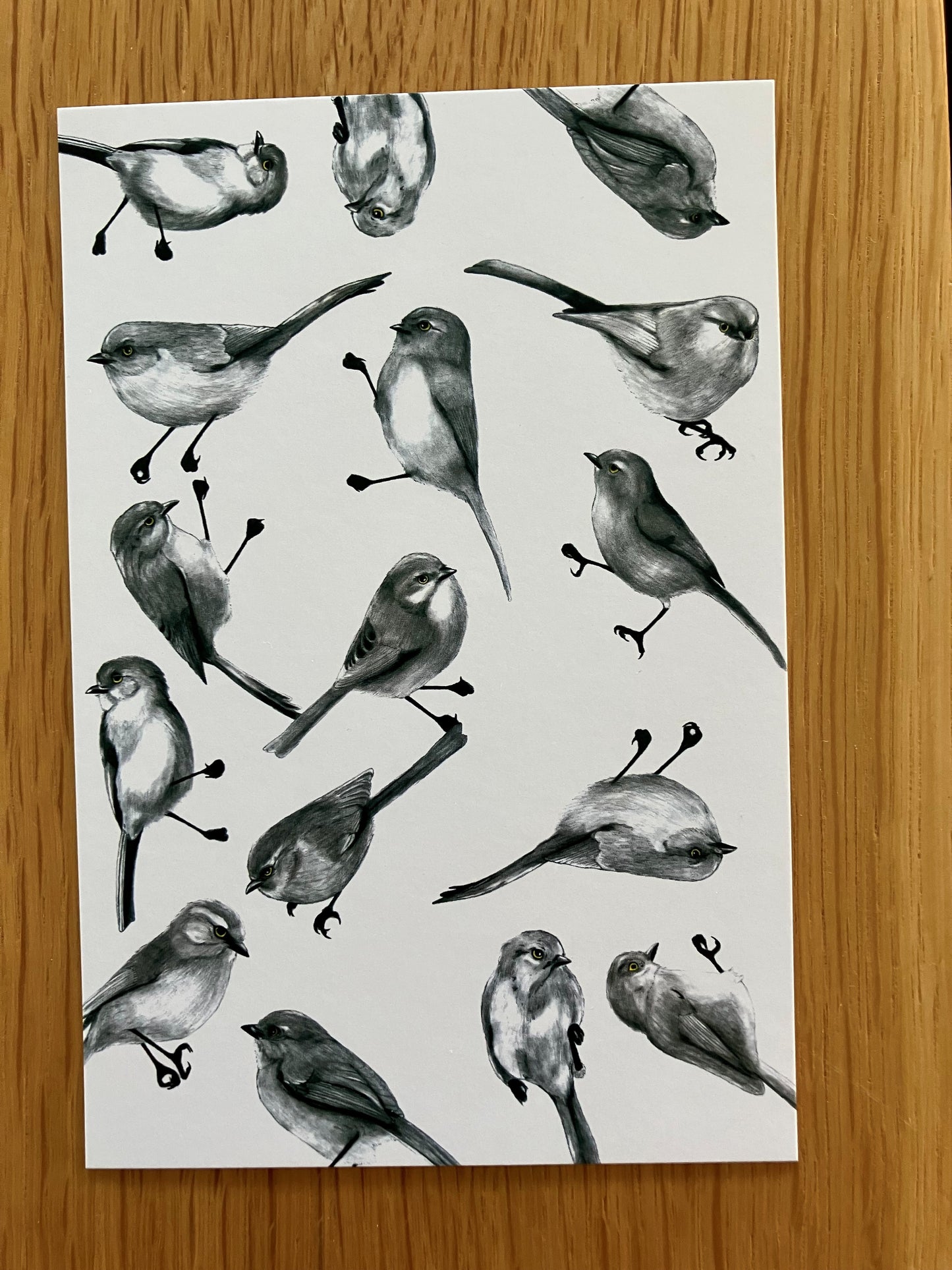 A Dozen Delightful Bird Postcards