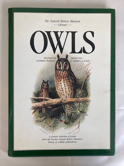 Owls