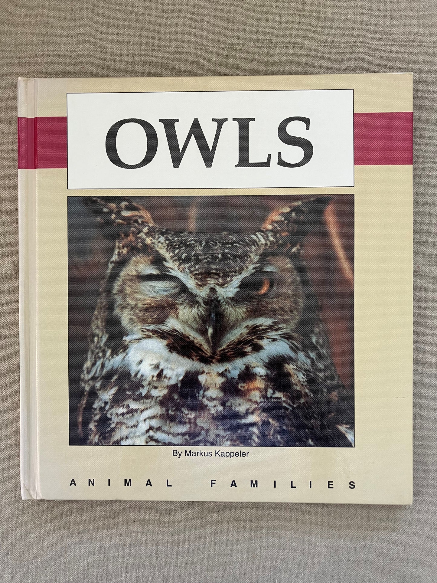 Owls (Animal Families)