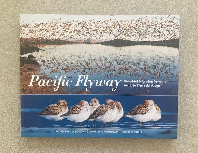 The Pacific Flyway: Waterbird Migration from the Arctic to Tierra del Fuego