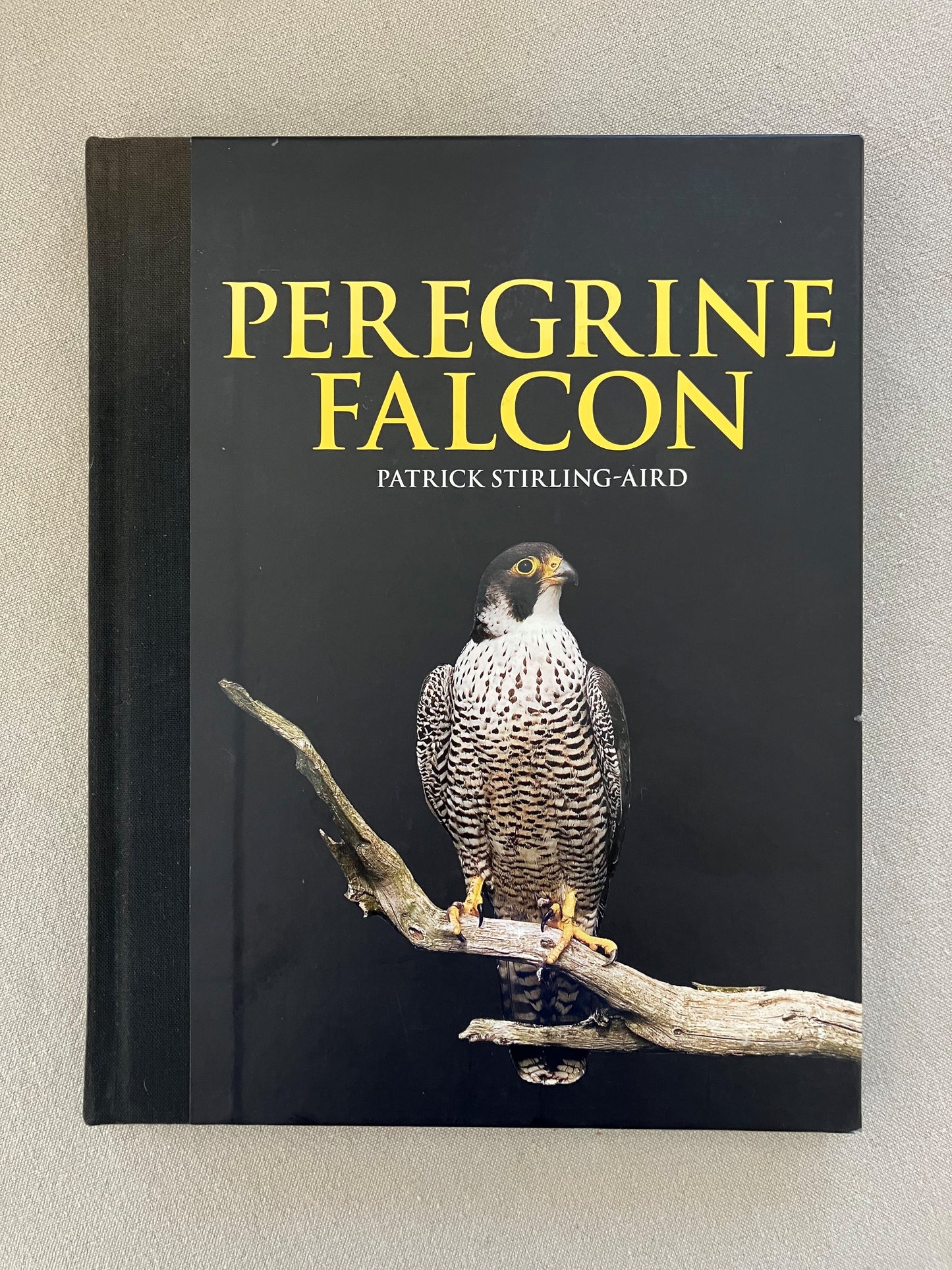 Peregrine Falcon