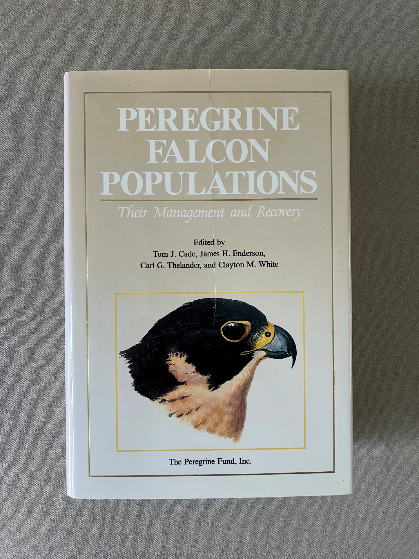 Peregrine Falcon Populations: Their Management and Recovery