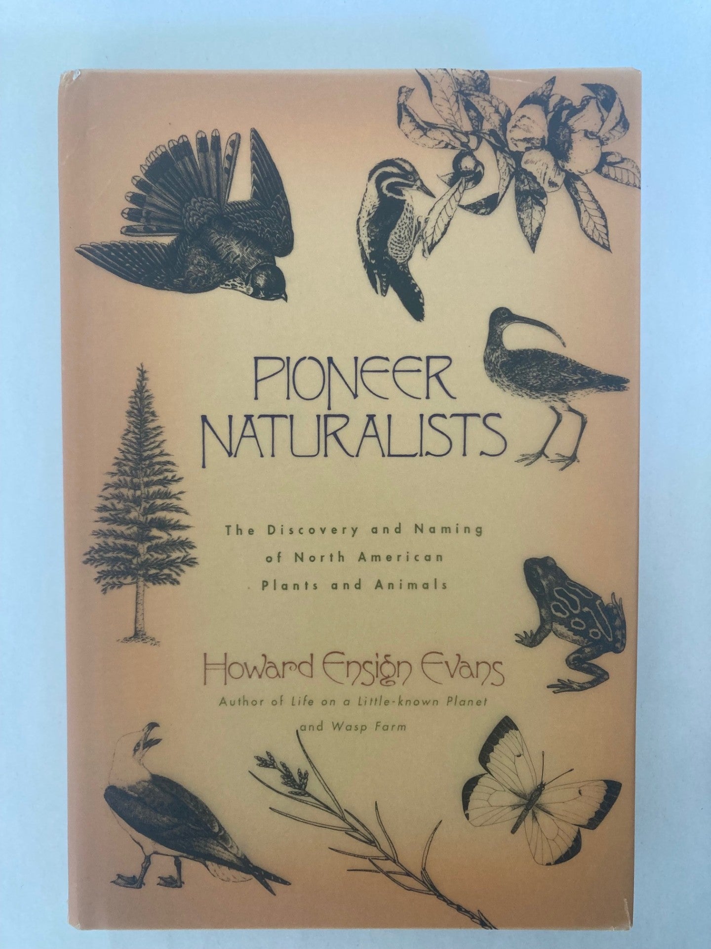 Pioneer Naturalists: The Discovery and Naming of North American Plants and Animals