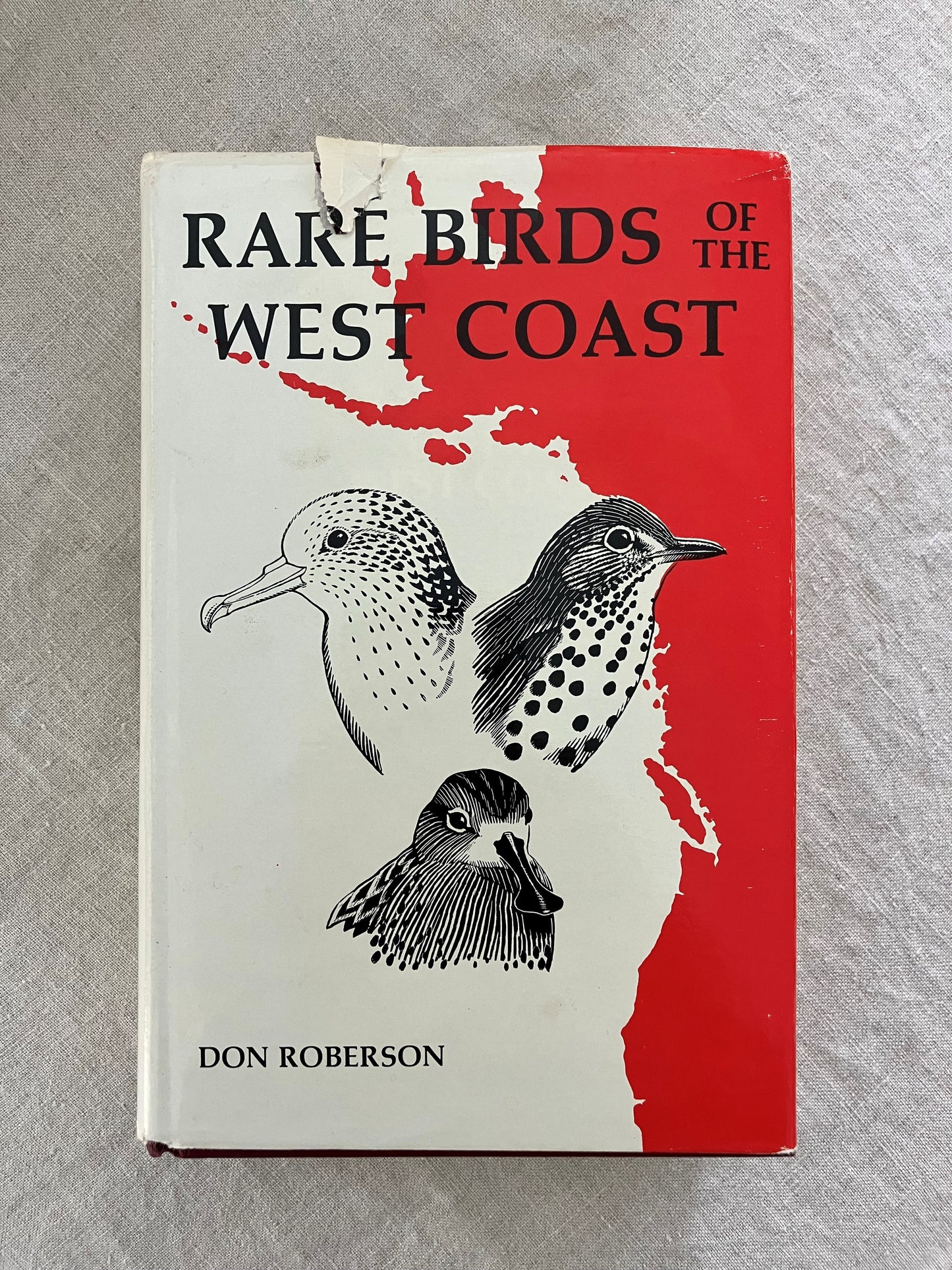 Rare Birds of the West Coast of North America