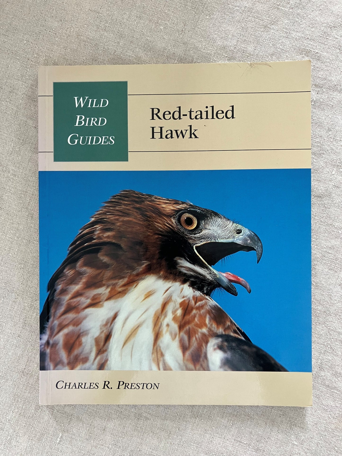 Red-Tailed Hawk (Wild Bird Guides)