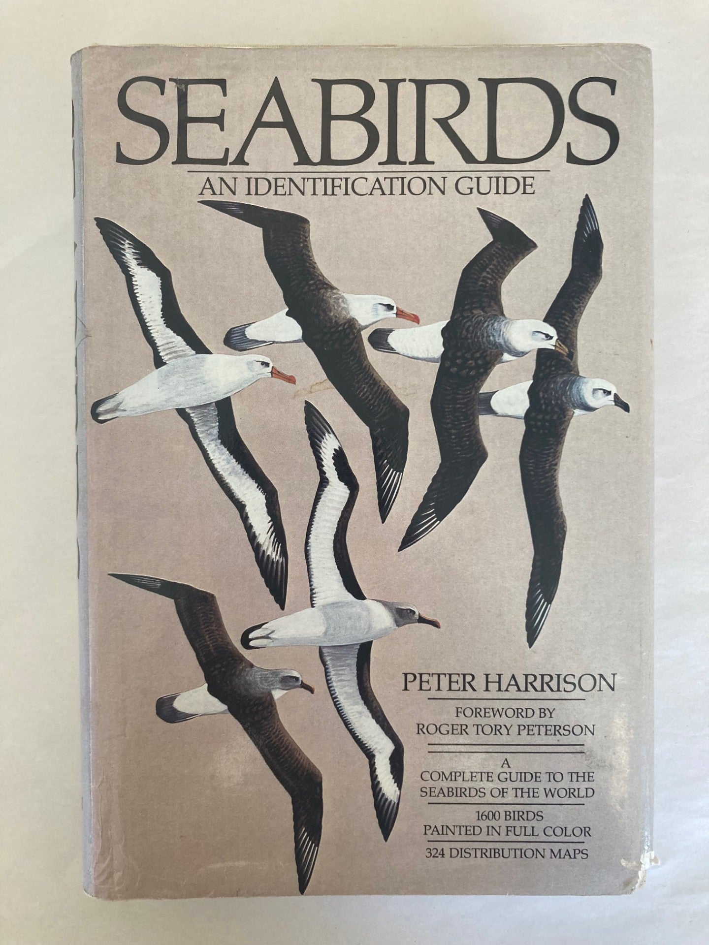Seabirds: An Identification Guide