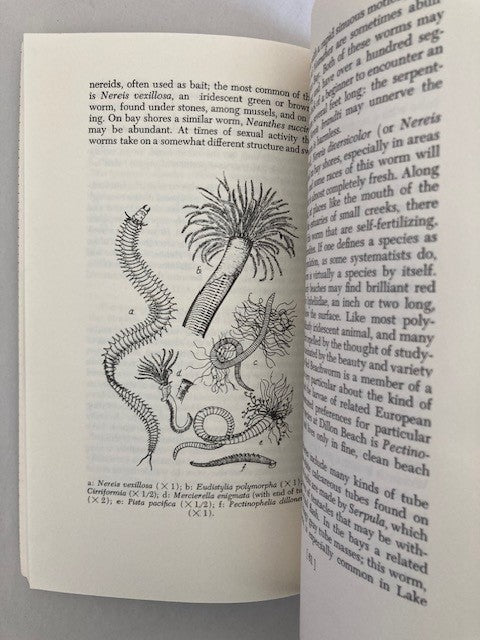 Introduction to Seashore Life of the San Francisco Bay Region and the Coast of Northern California