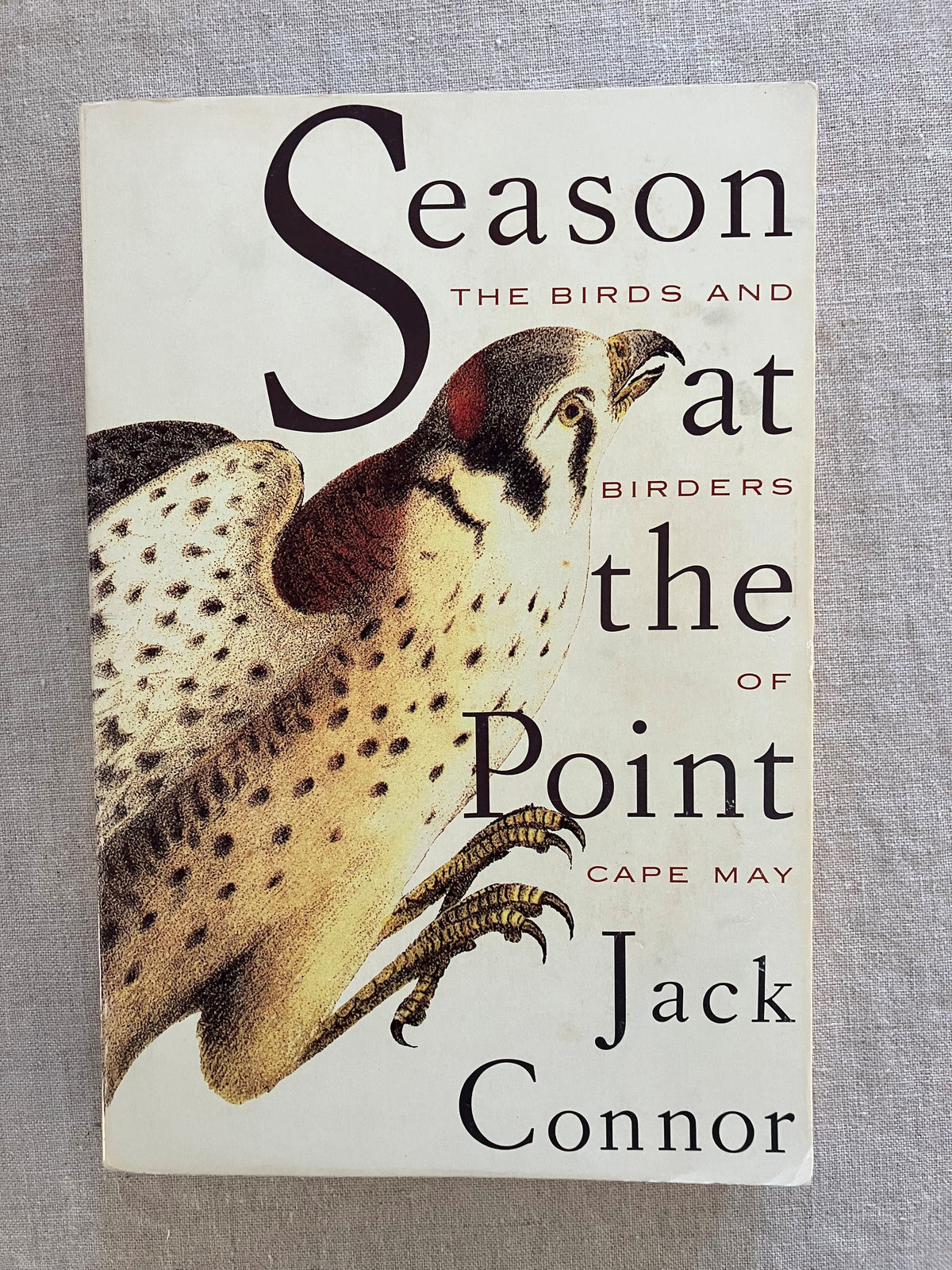Season at the Point